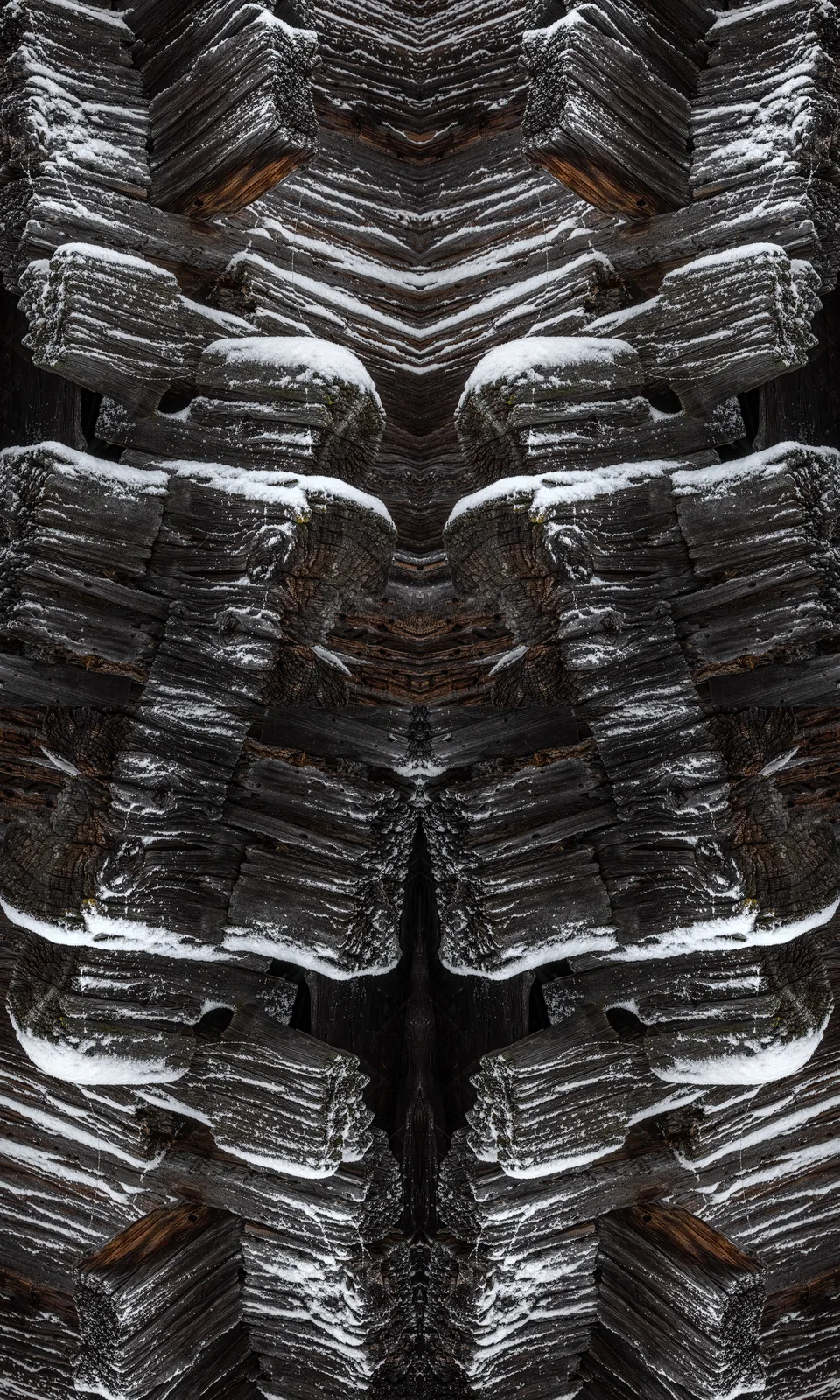 TOTEM#1042_BELLWALD