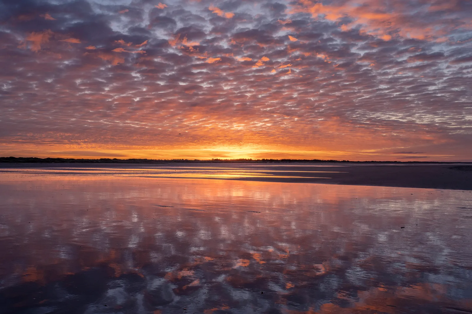 Morgenzauber