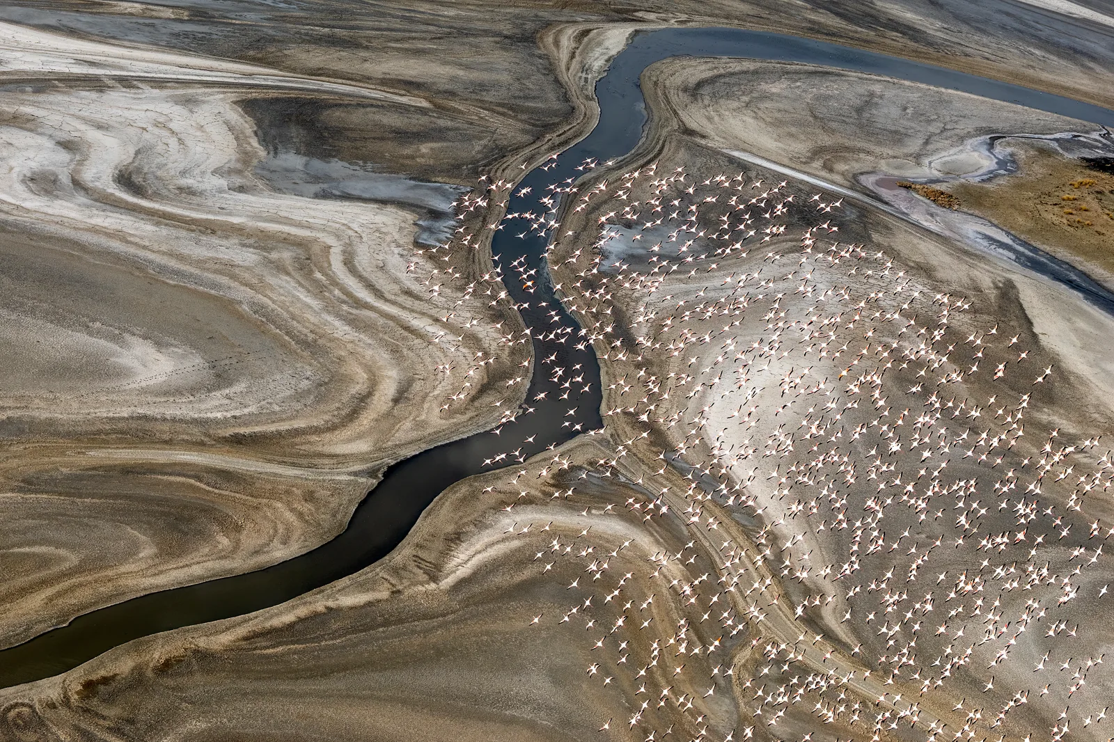 Lake Magadi 4