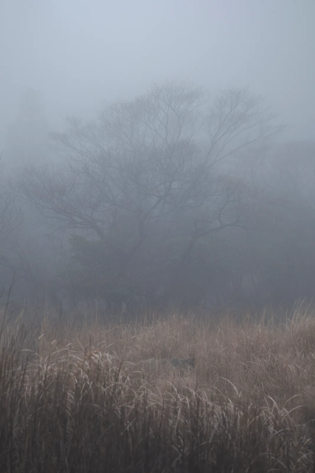 Aspect of Stillness 4