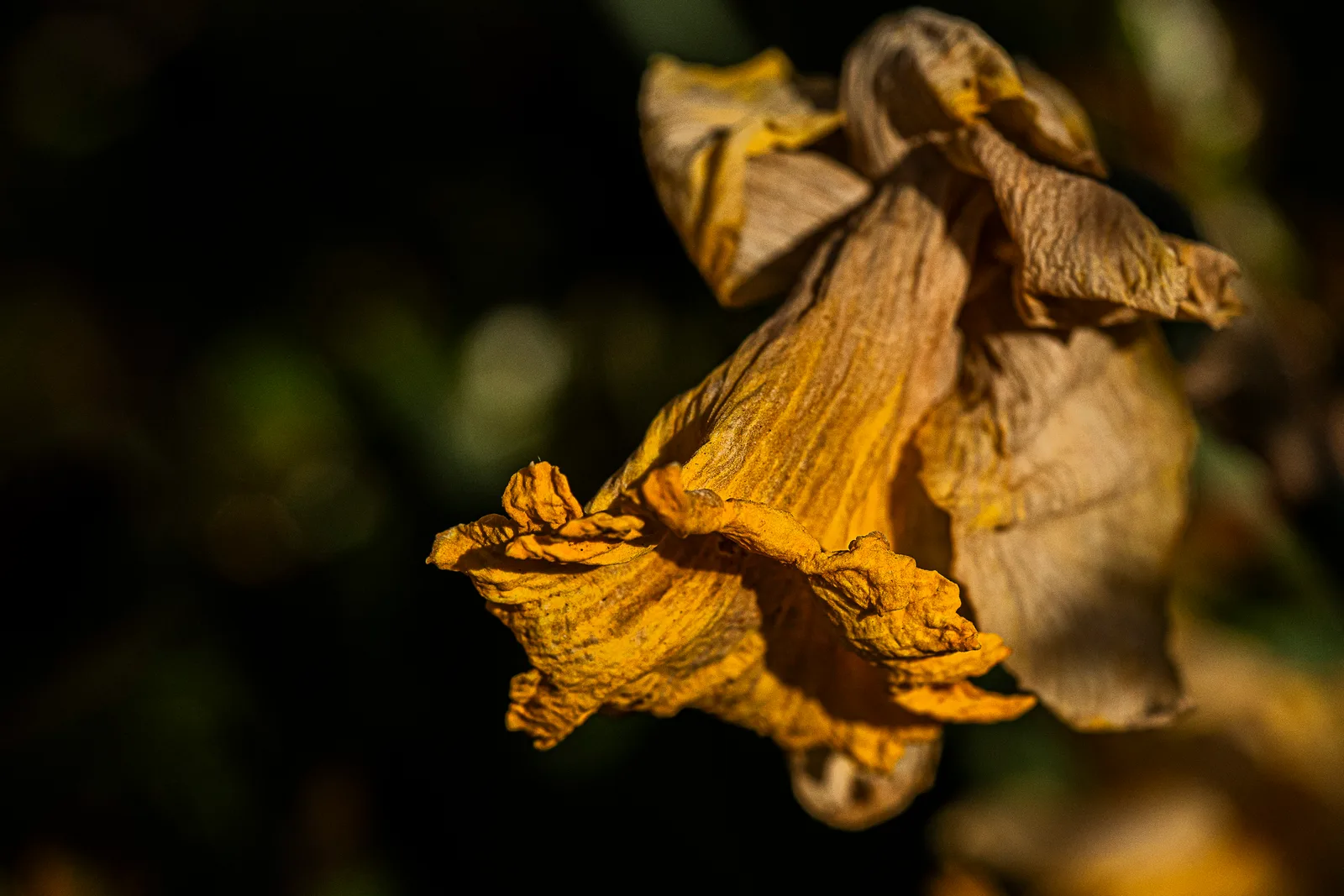 A faded dress