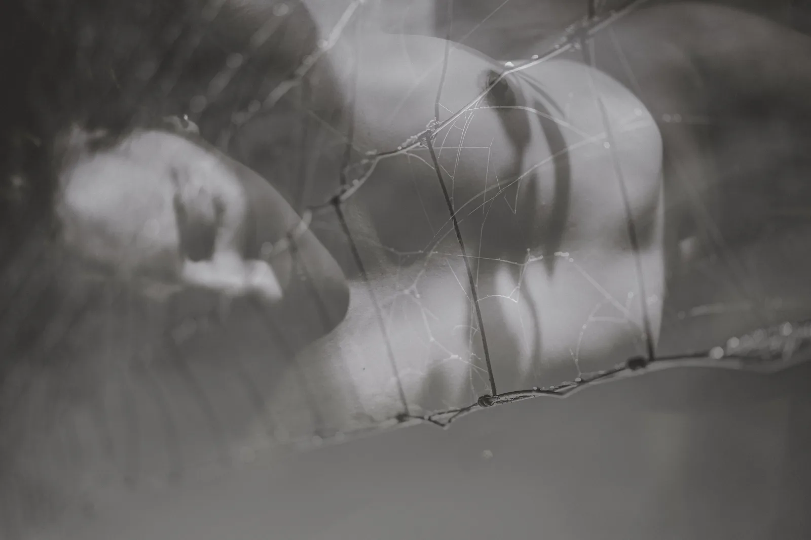 Entangled in the Webs of Old Feelings