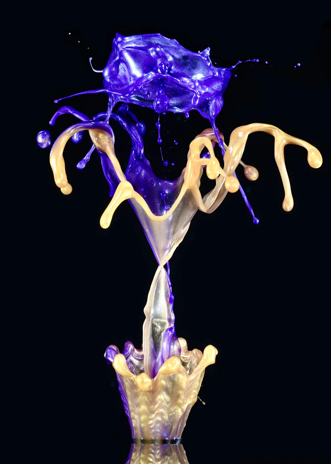 PURPLE ROSE