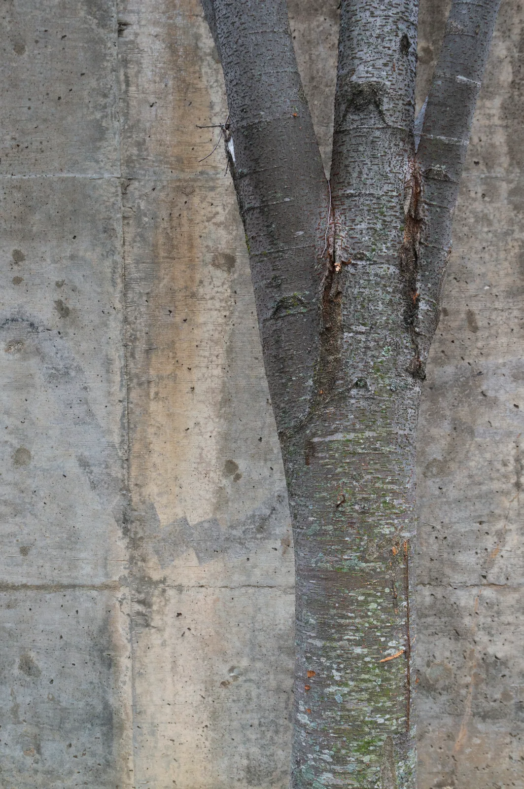 Concrete Walls on a Riverwalk (1)