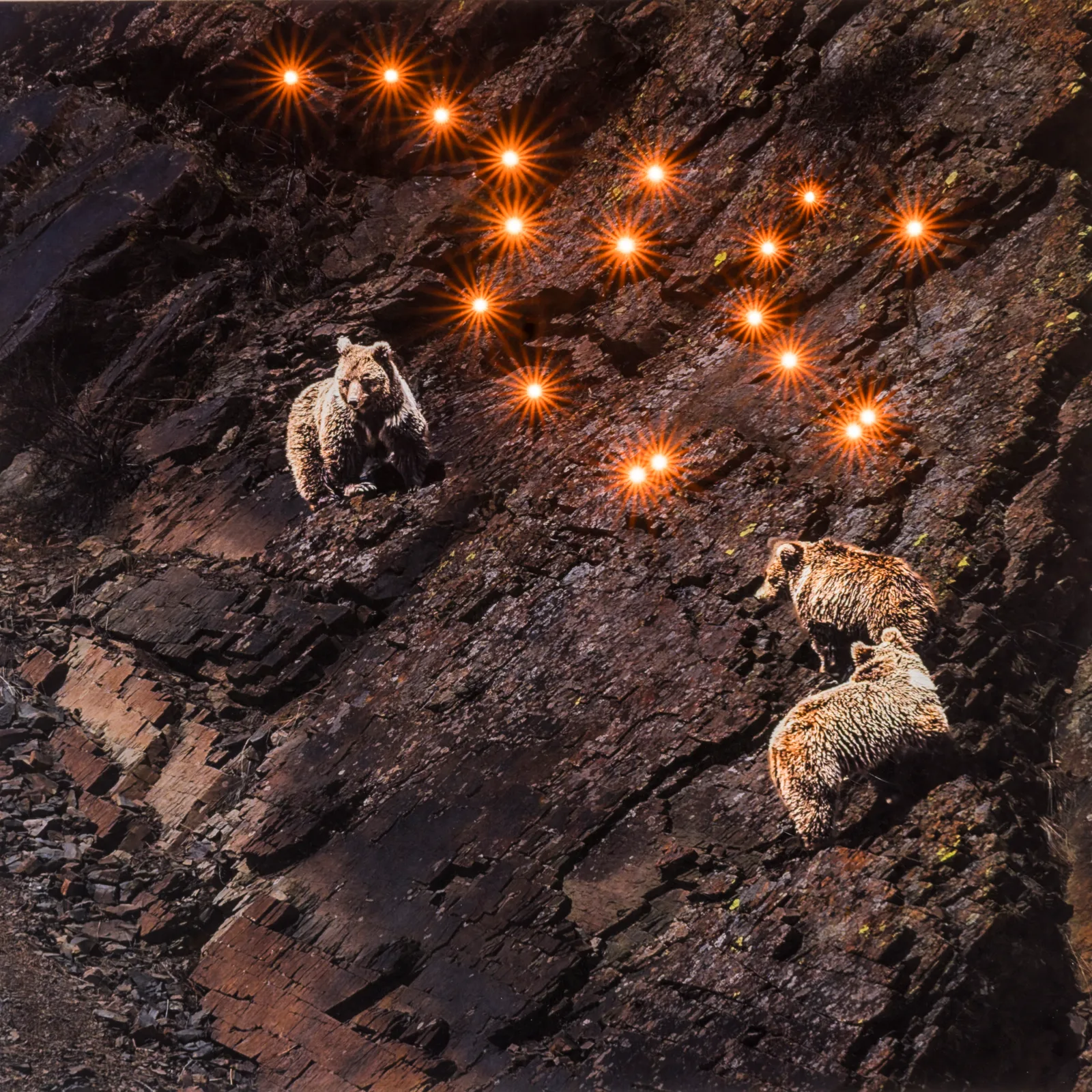 Hope in the Constellation
