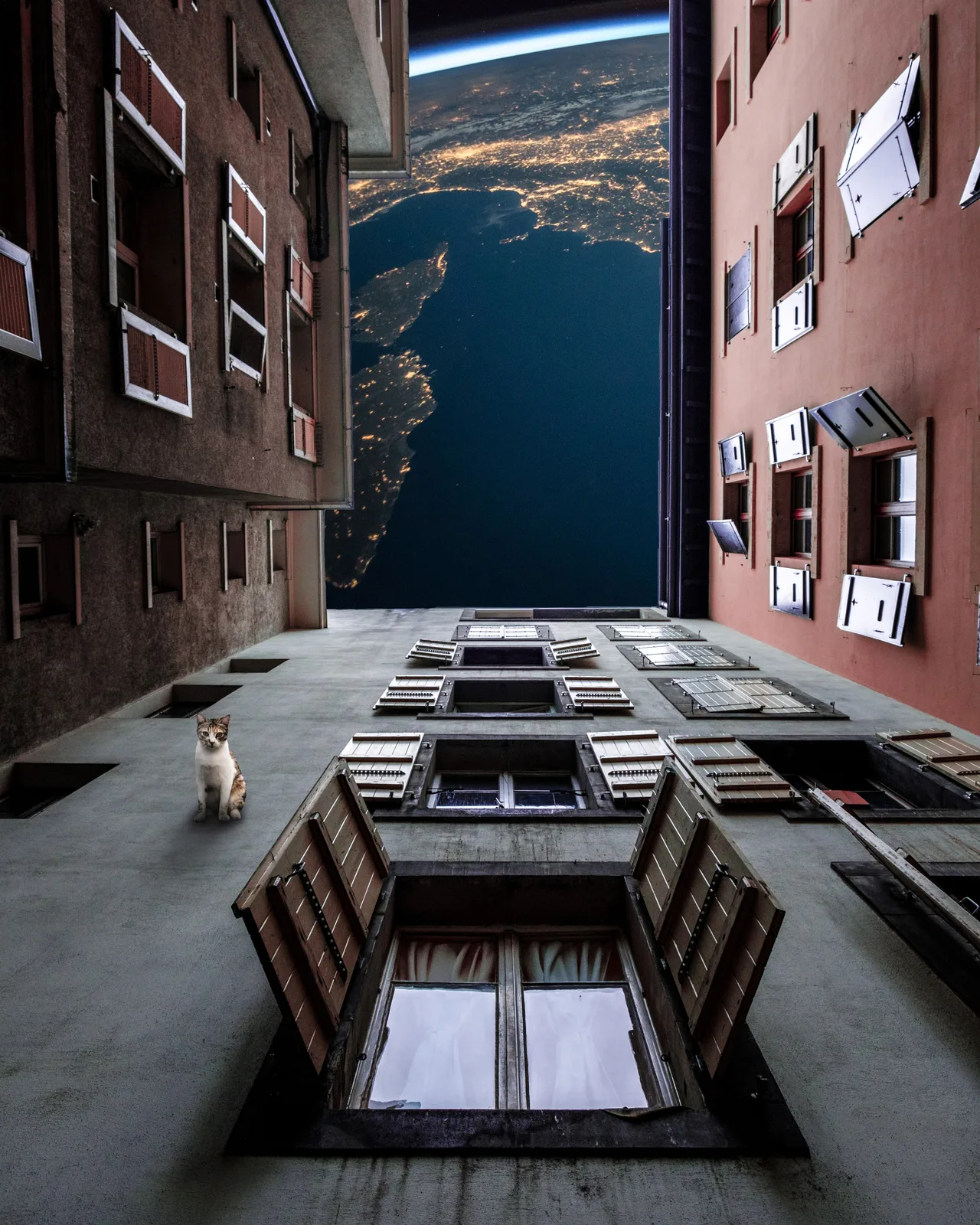 Cat Planet
