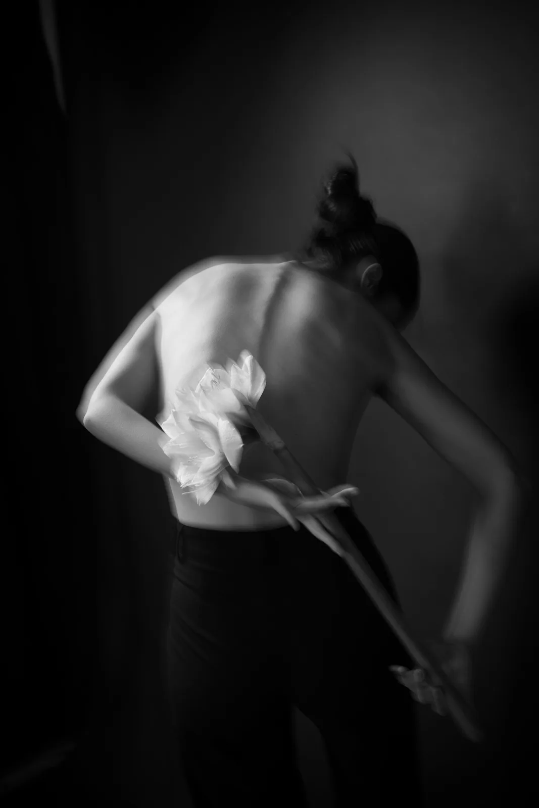 The Weight of Bloom