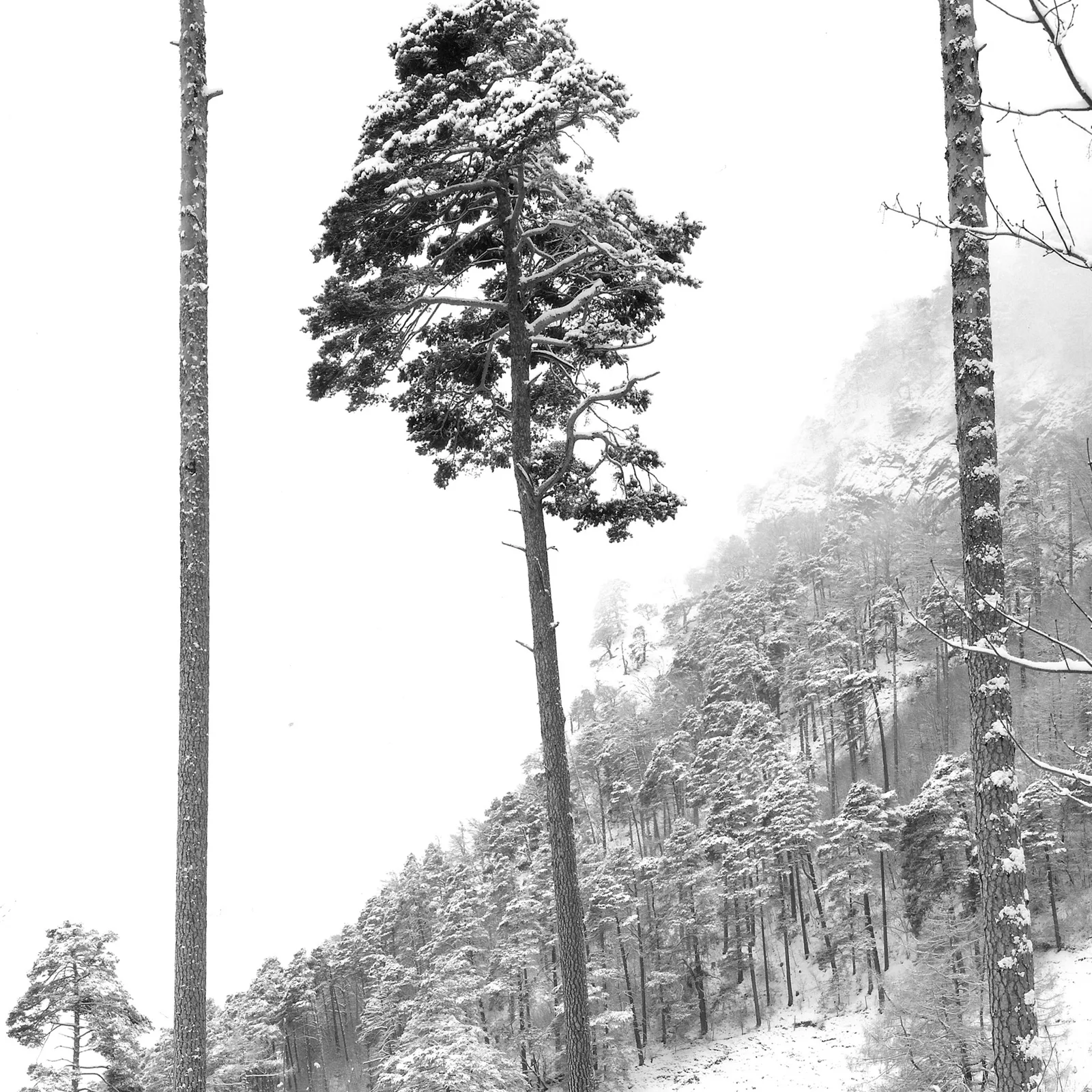 Schneesturm