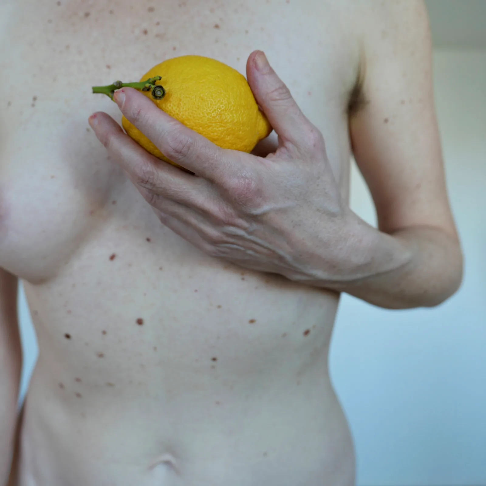 Wo die Citronen blühen