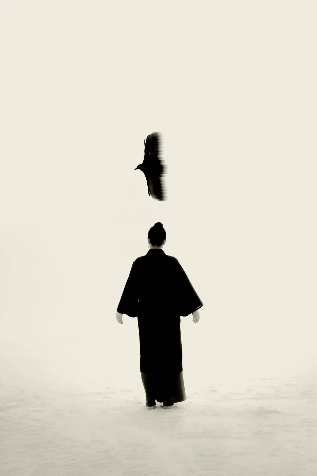 Nanae Bird of Prey, 2023