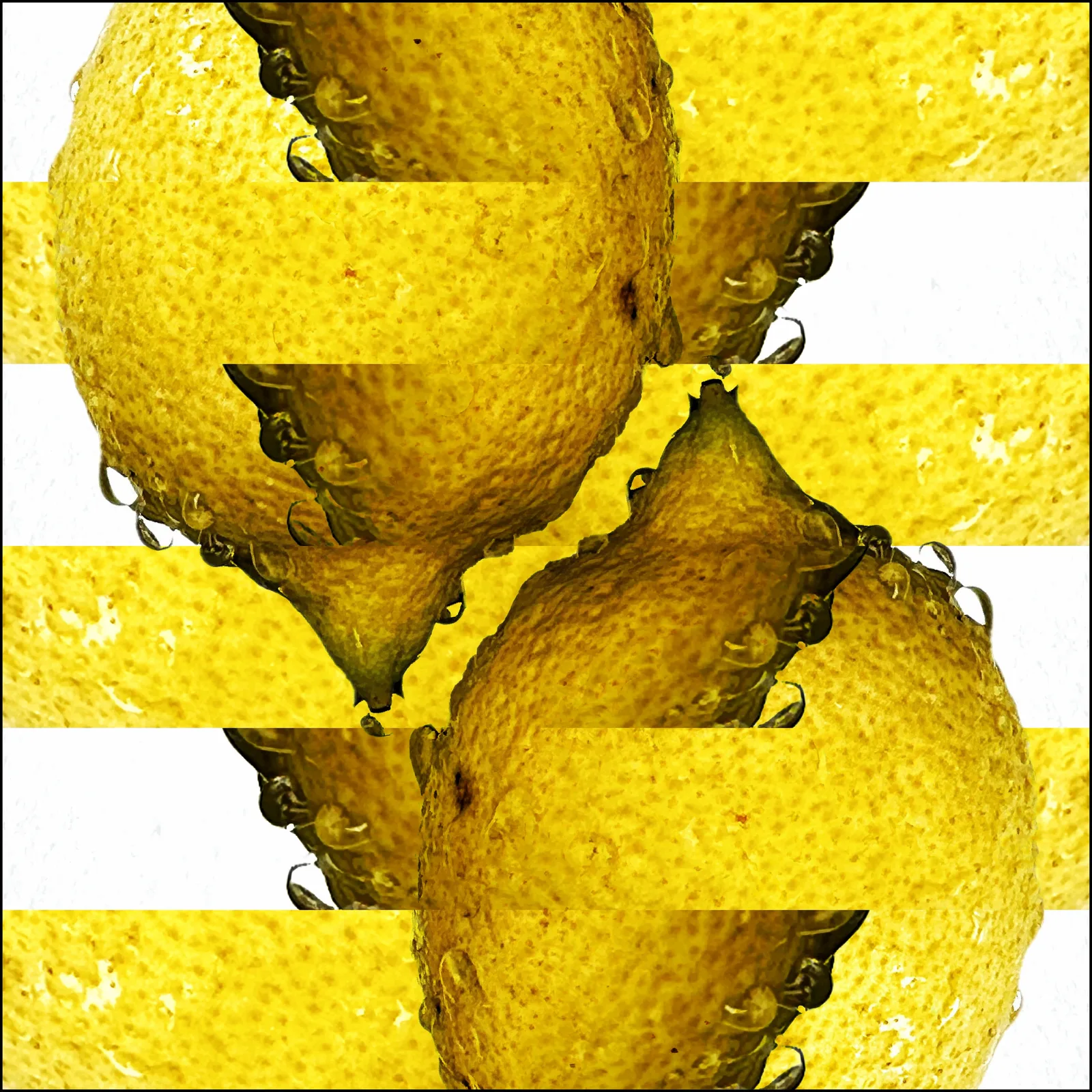 Sliced Lemons