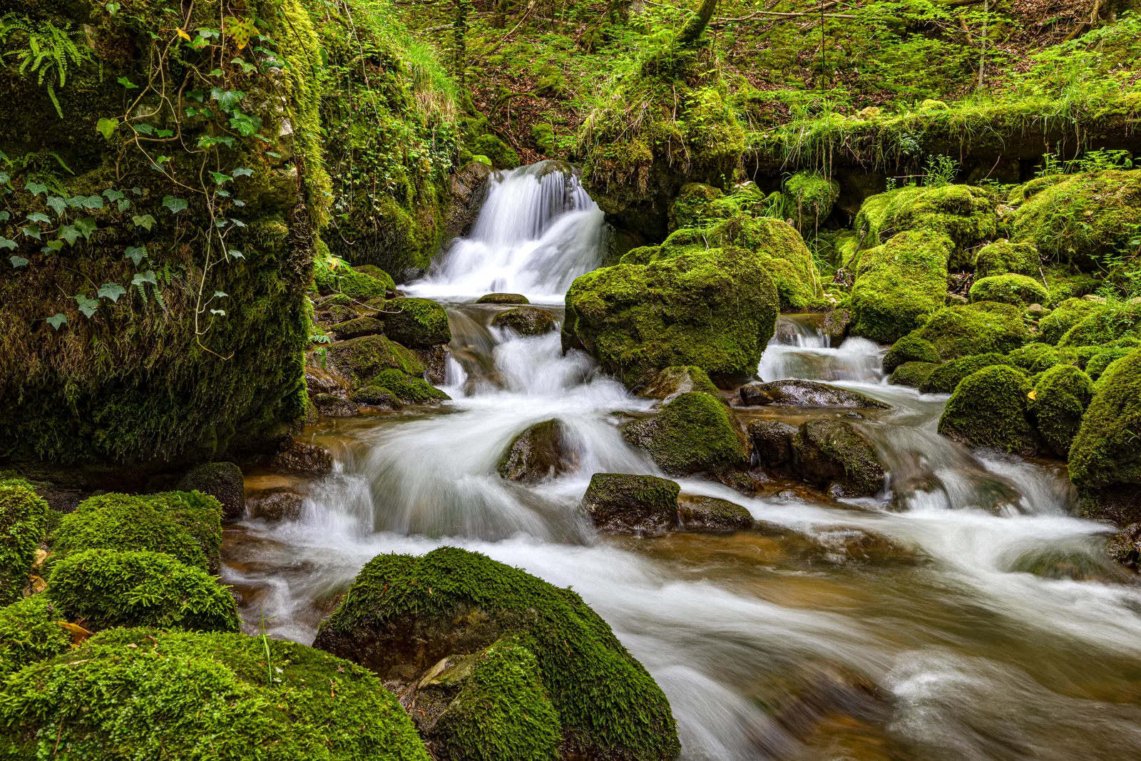 Gorges du Pichoux