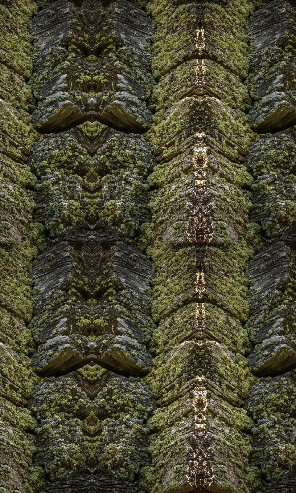 TOTEM#957_FINNEN