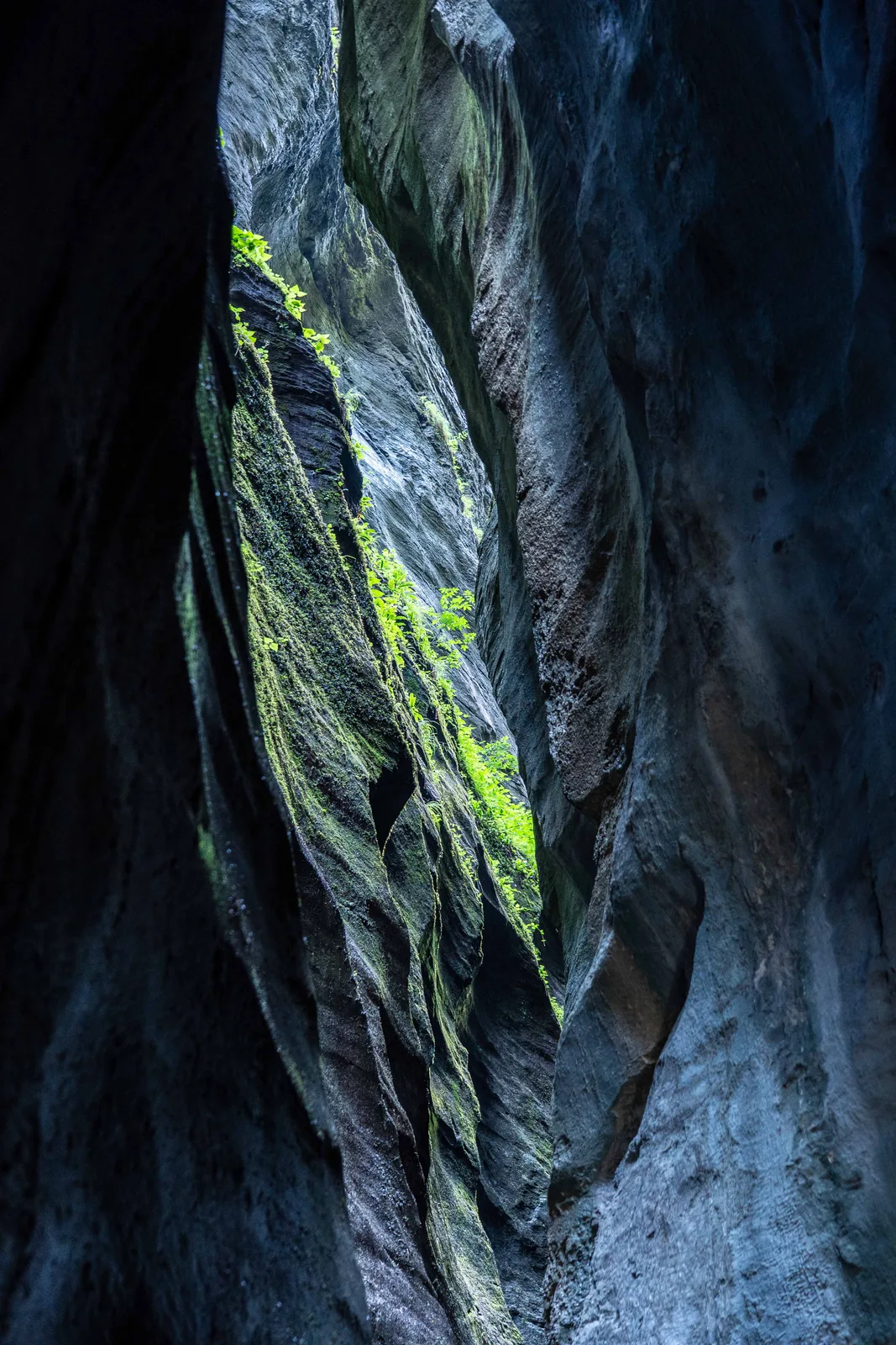 Aareschlucht 01