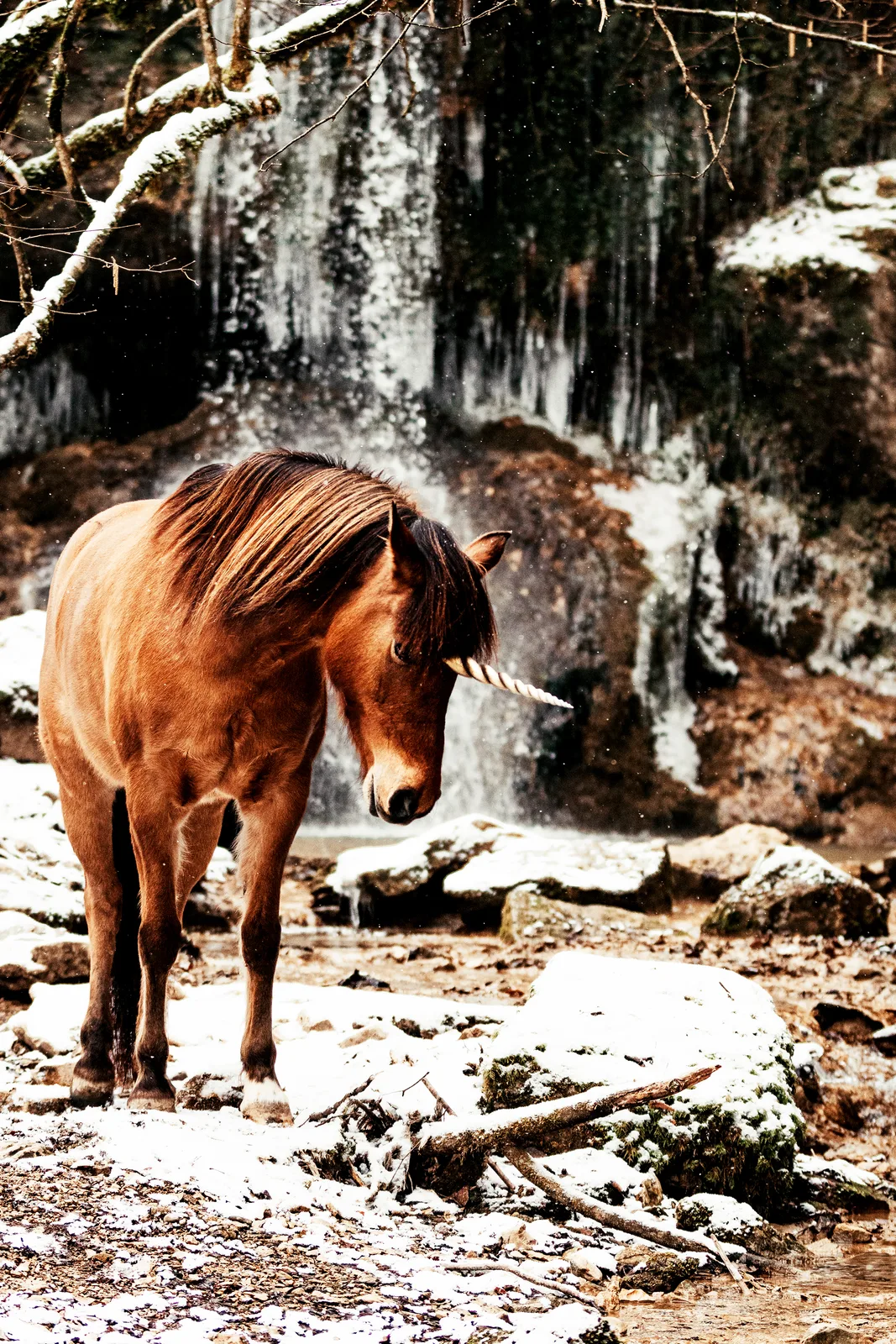 Last Unicorn Winter