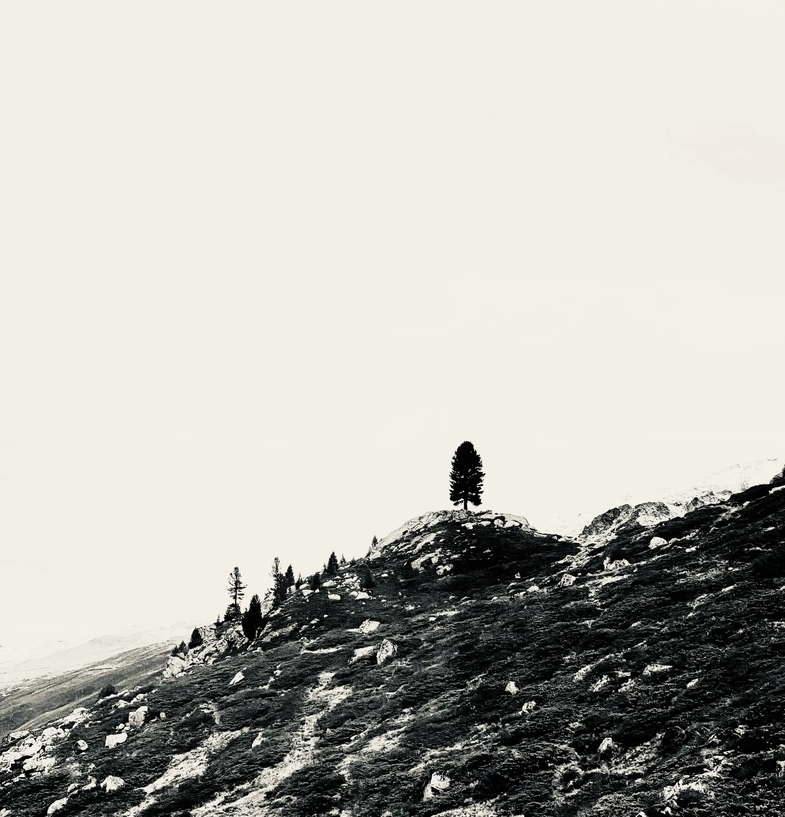 Olivia-Perseverance-10