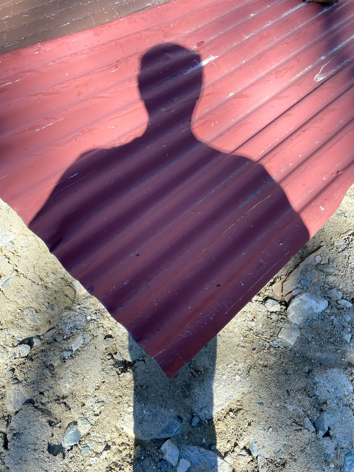 Shadow by Fred Nogier