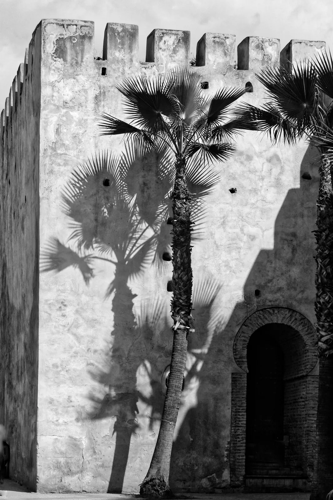Schatten - Meknès