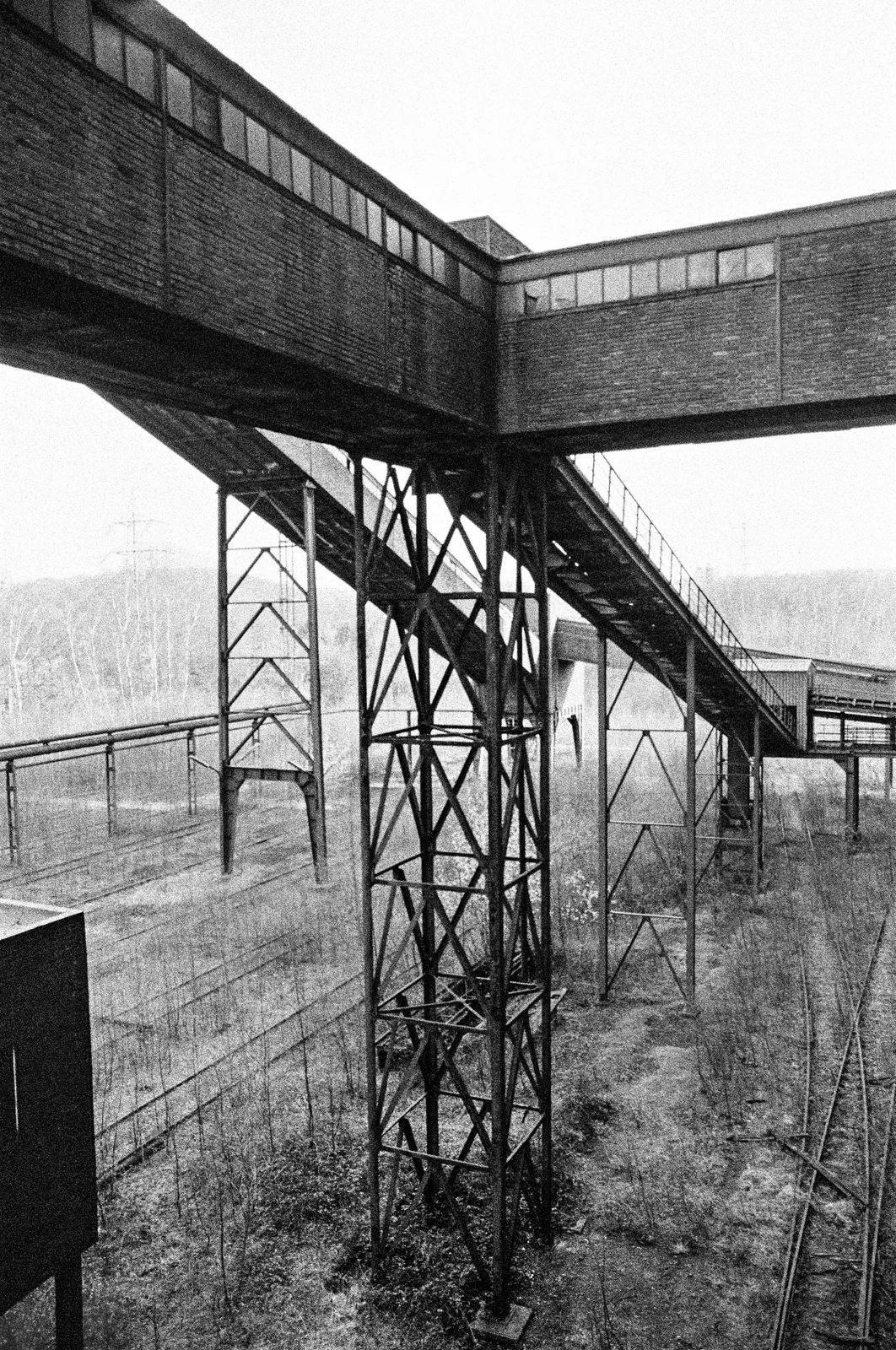 Zollverein Schacht XII / 31007