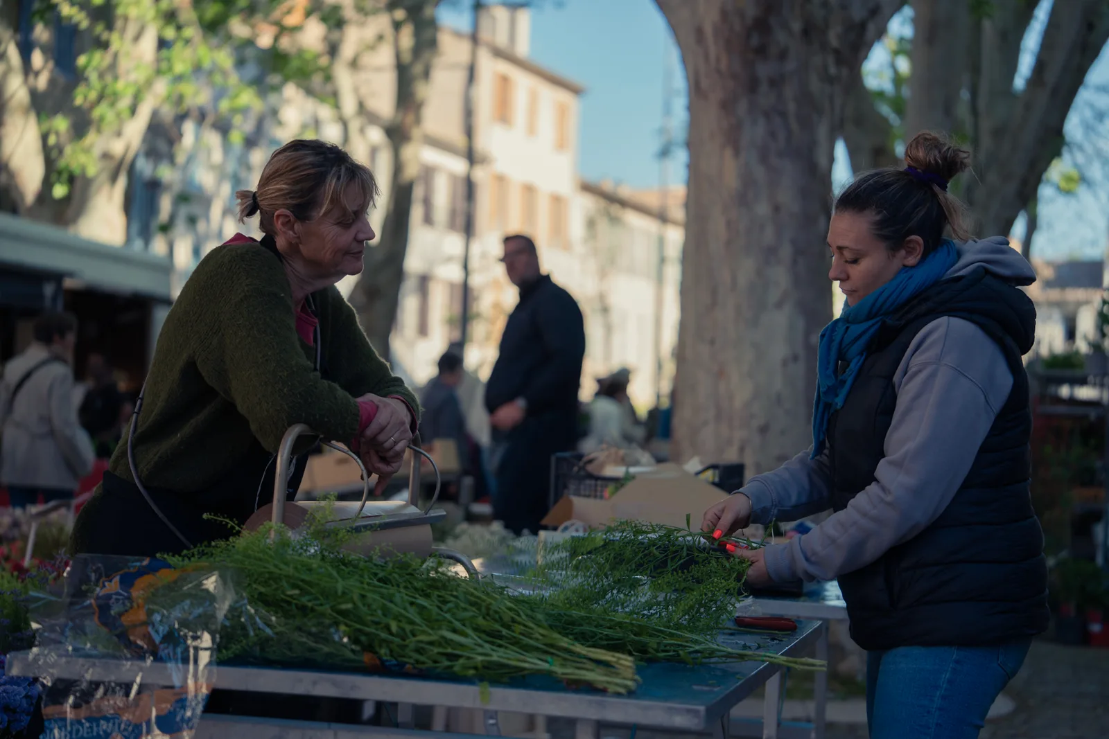 Chatting with the lady of the chicken rotisserie at Avignon flower stall
