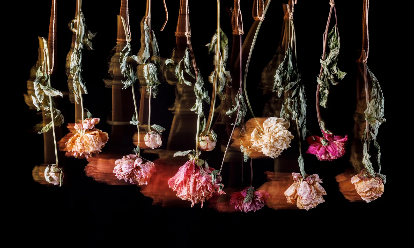Flower Pendulum