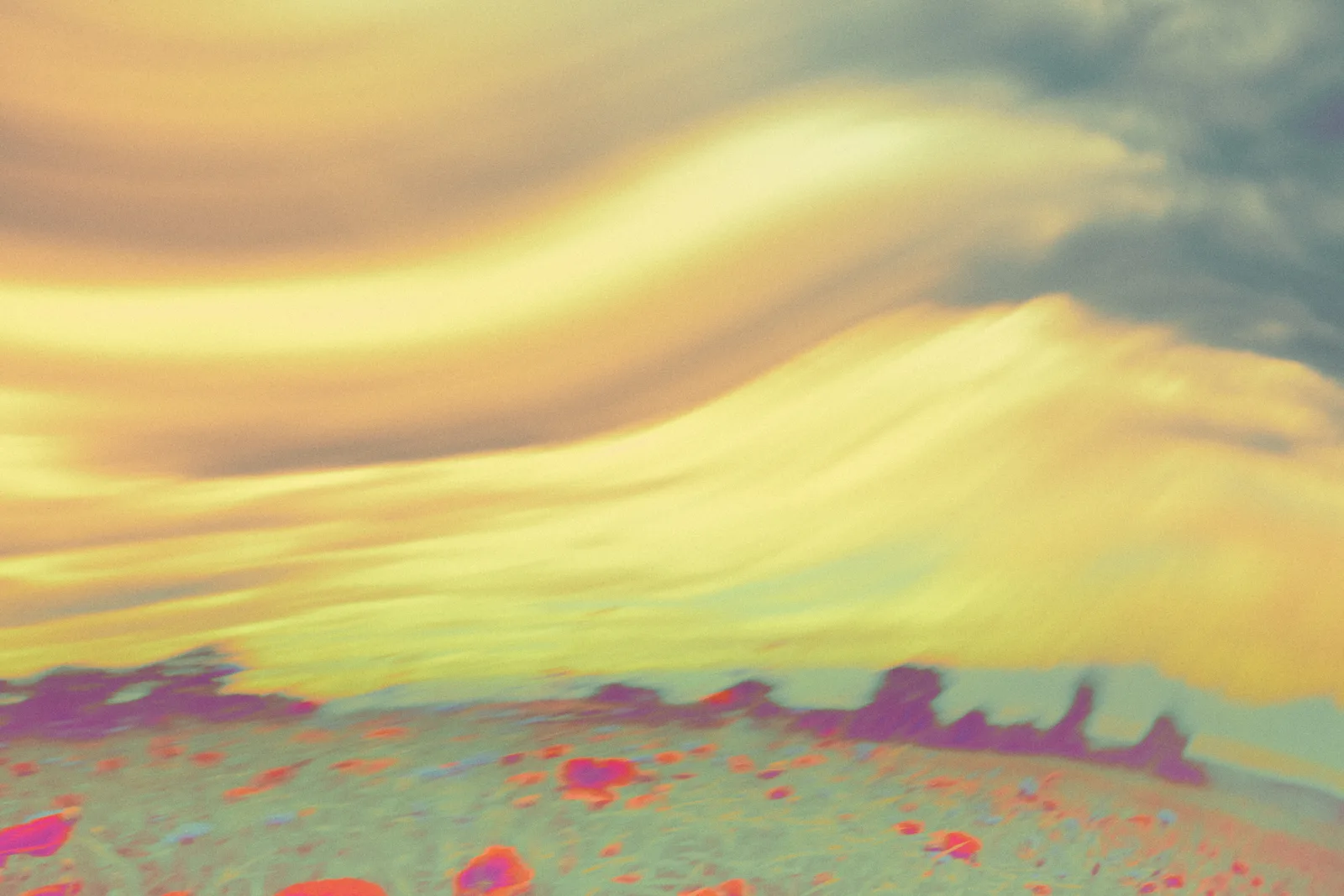 Pastoral #2 Limited edition 1/10