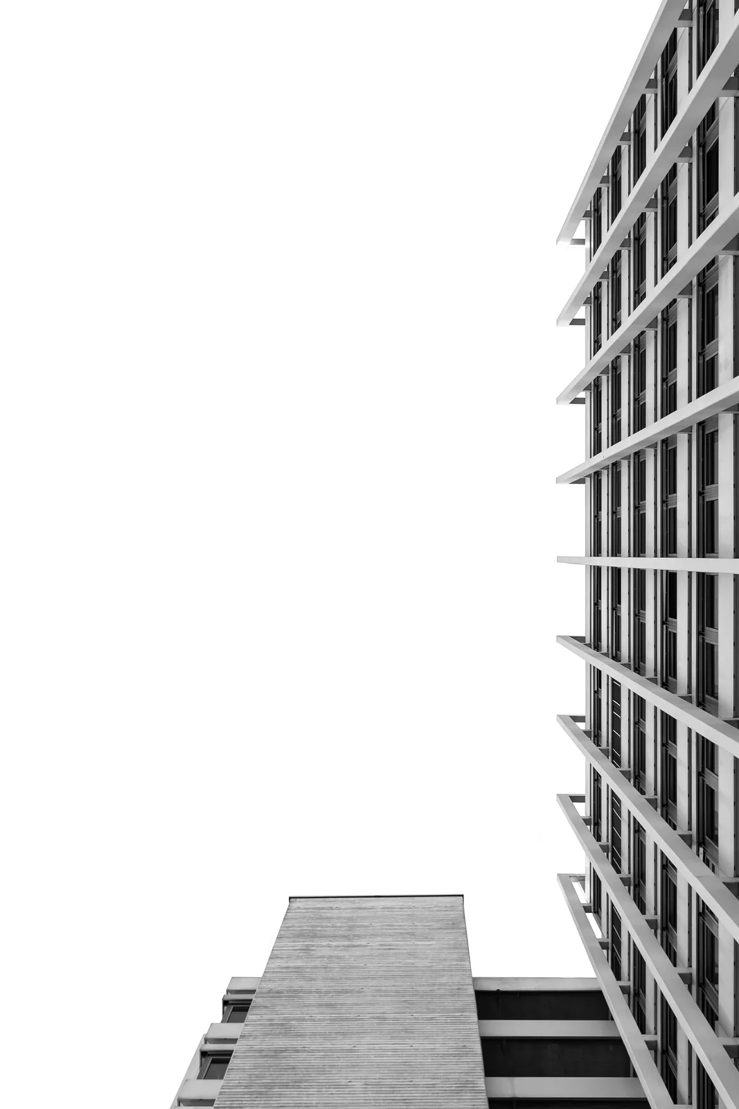 Frederic-Muller-101
