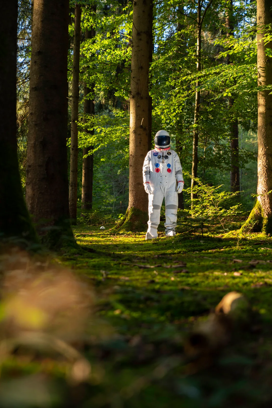 Astronaut in the forest