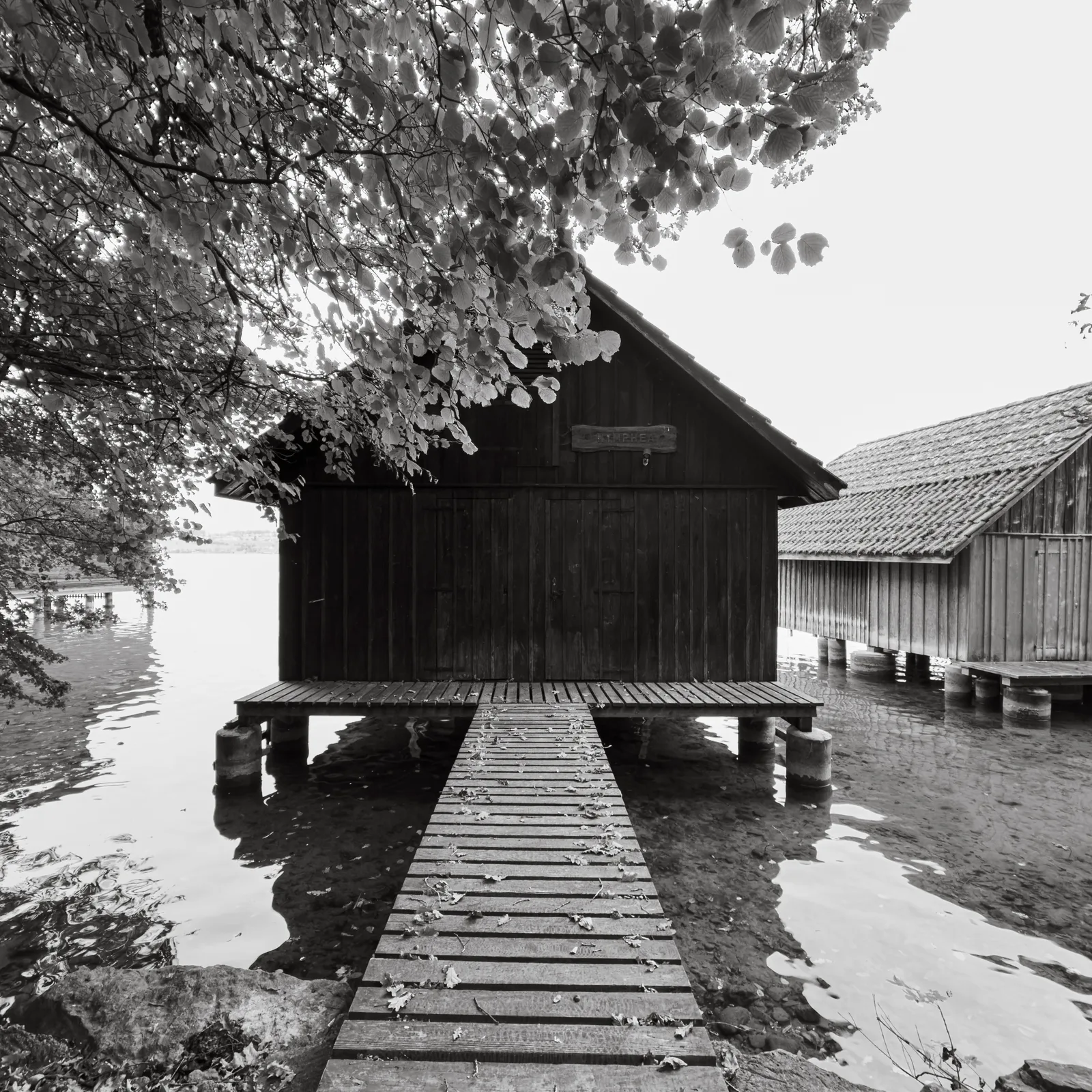 Bootshaus 3 auf Stelzen - Hallwilersee