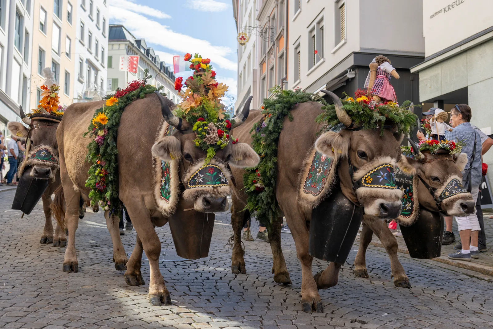 Alpabfahrt, Einsiedeln