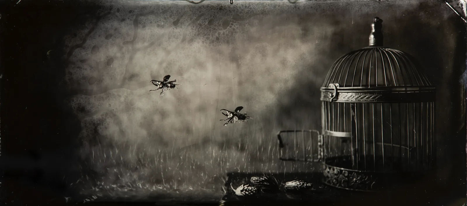 the escape