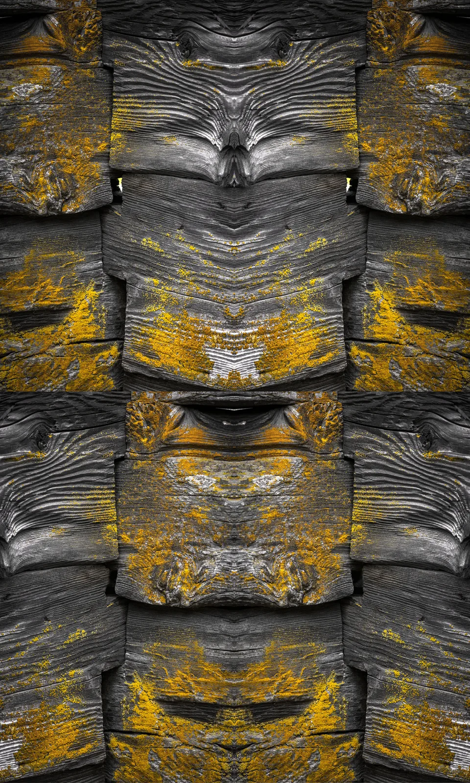 TOTEM#882_BODMEN