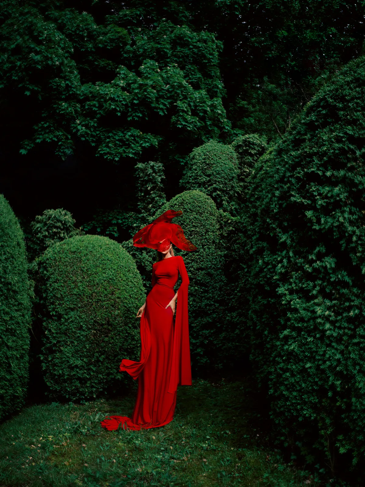 Crimson Solitude