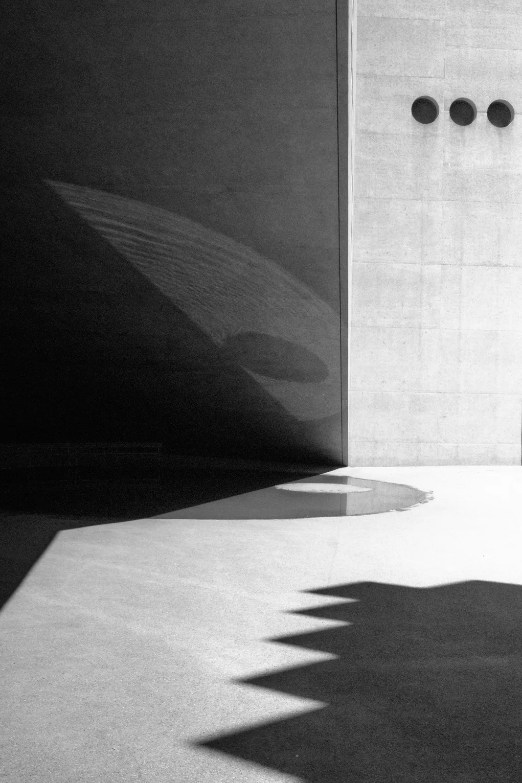 Shadow