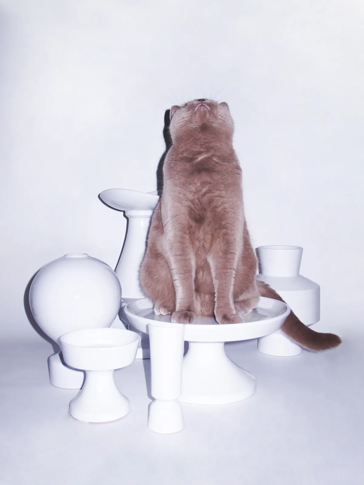Linck Vases