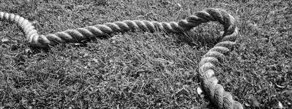 Tug-of-War 2