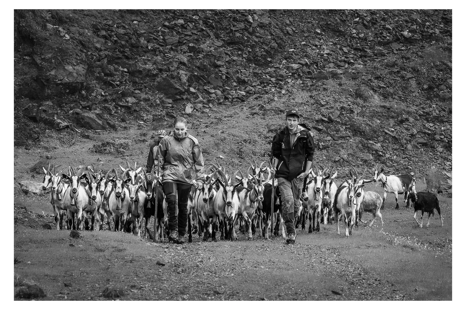Tonia und Ruedi beim Alpaufzug der Ziegenherde