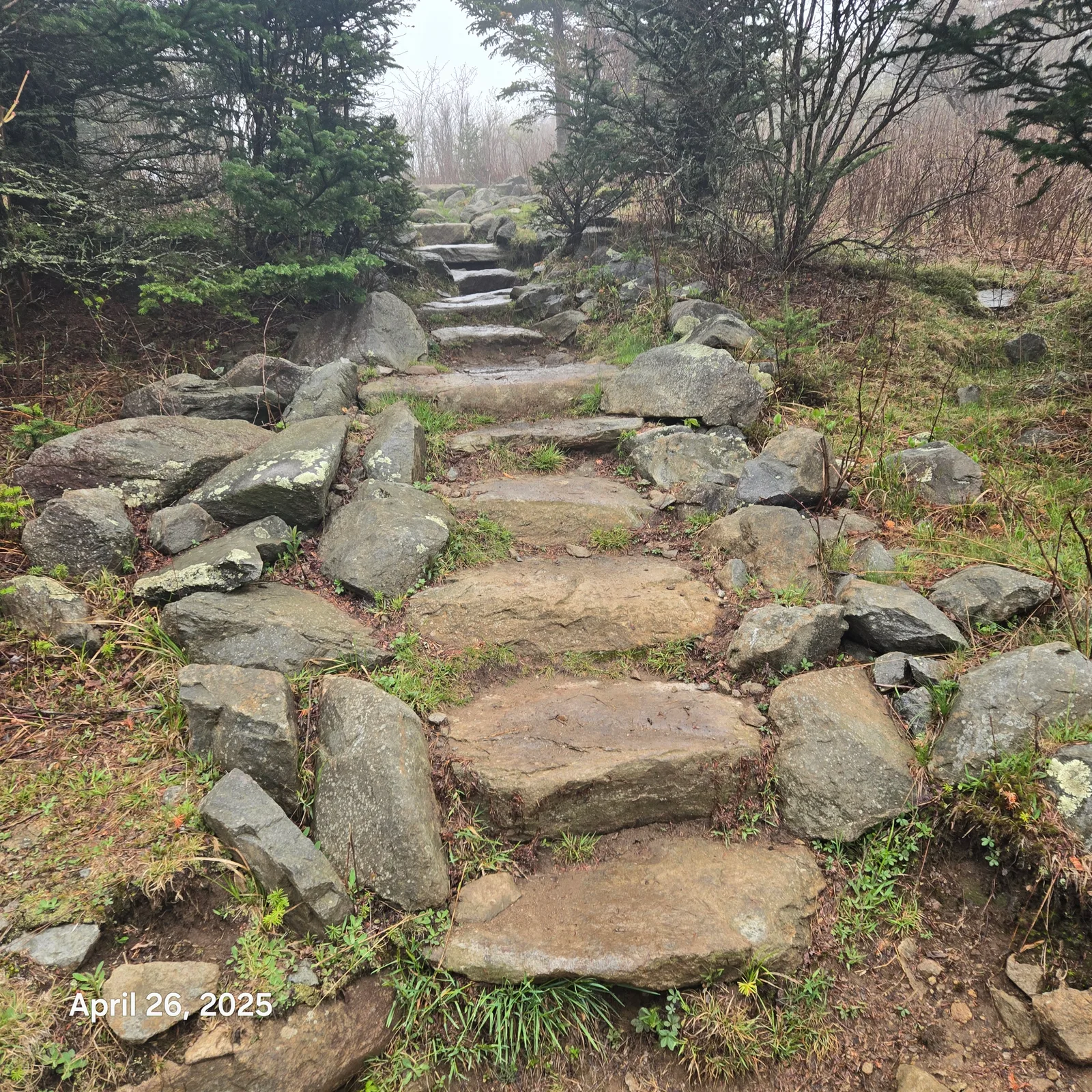 road less traveled