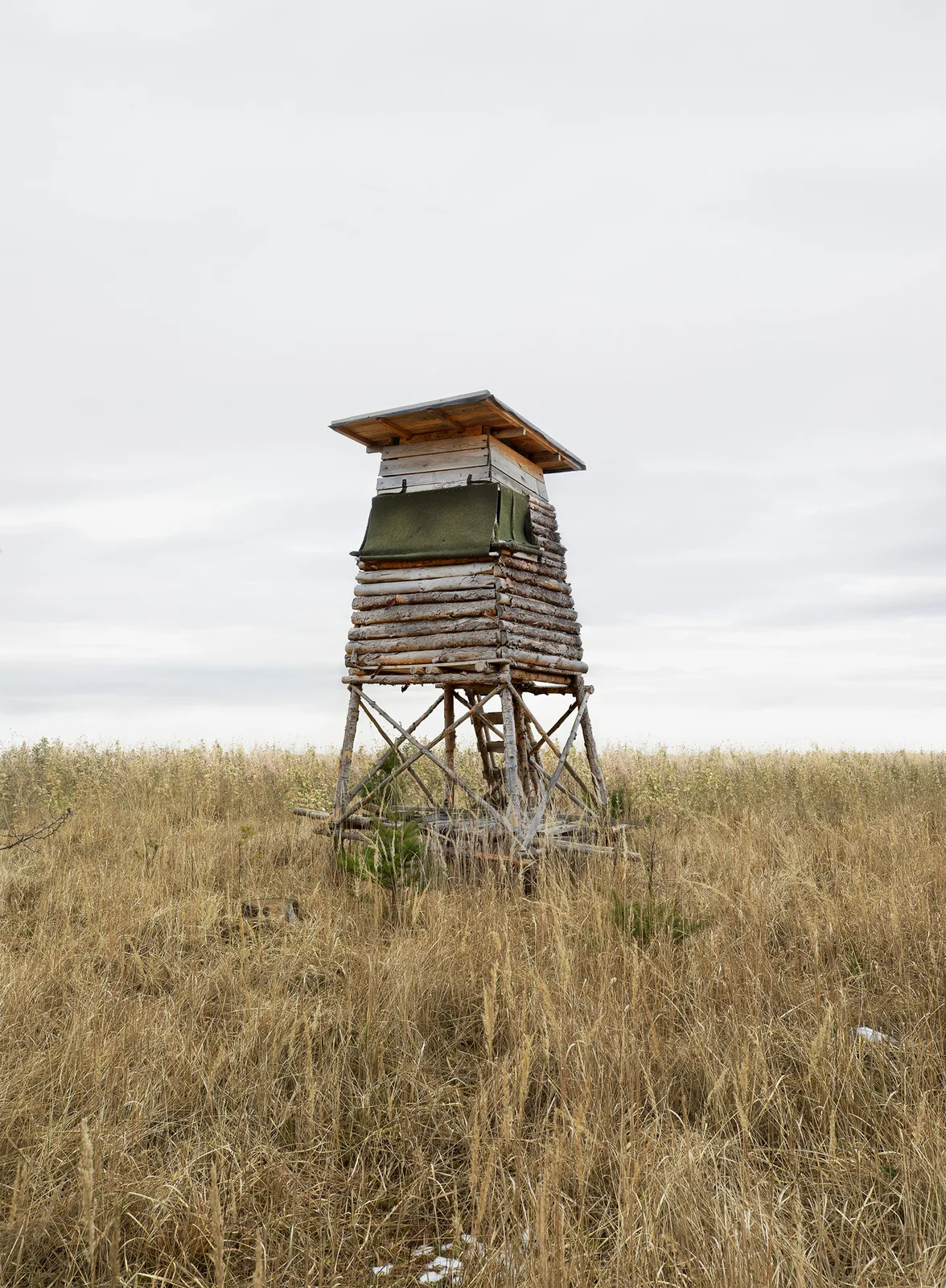 The Architecture of Hunting #12