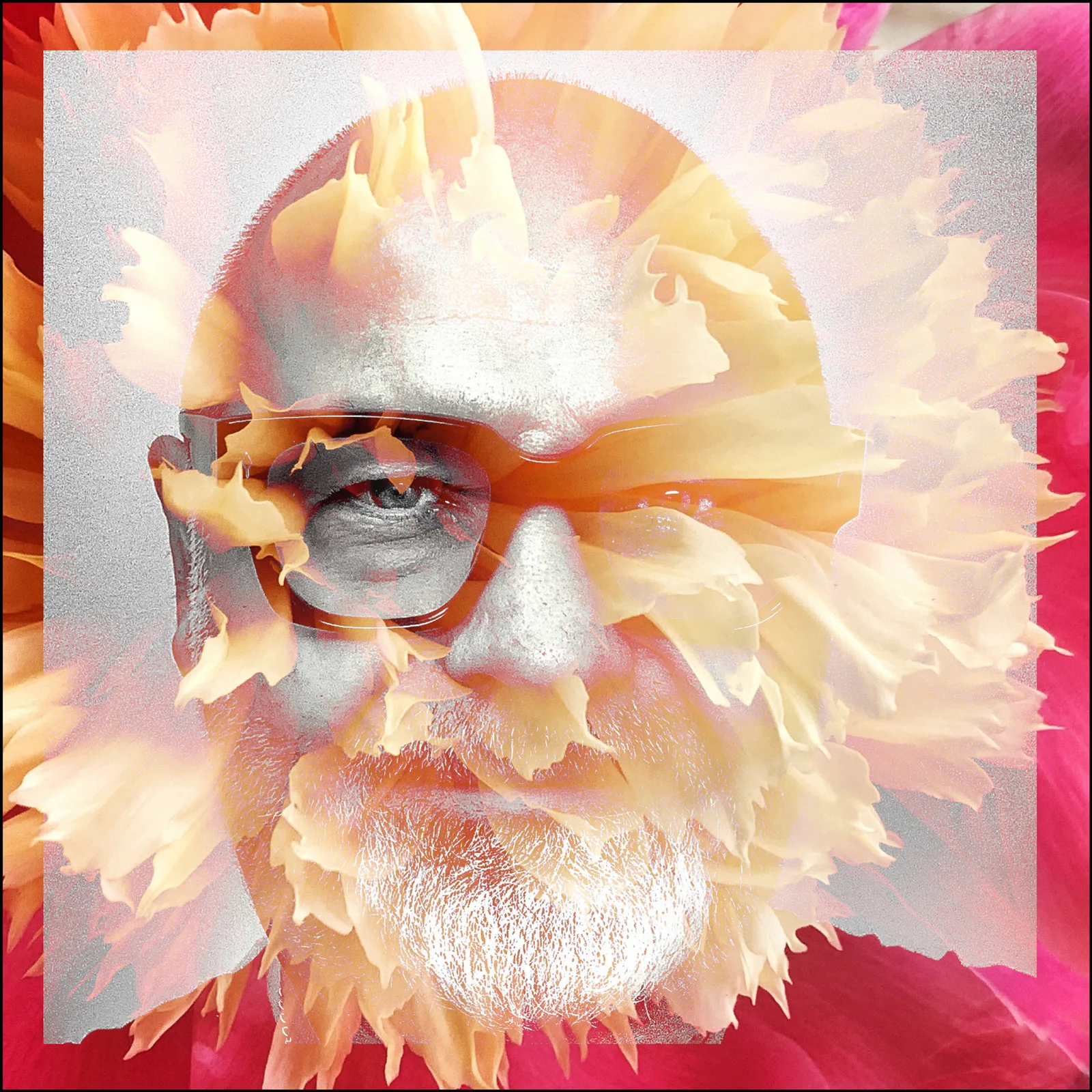 Martin Zehnder