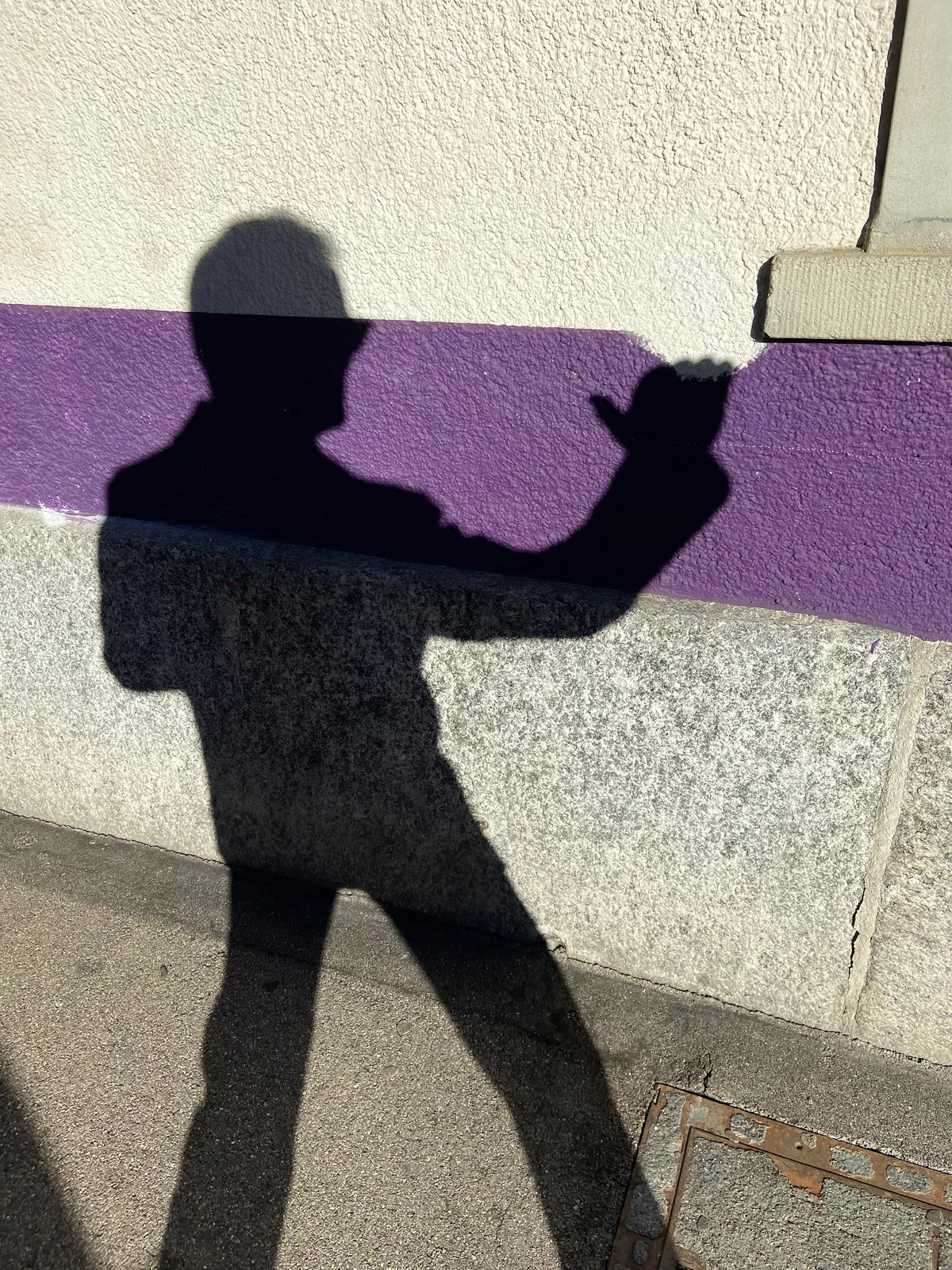 Shadow by Fred Nogier