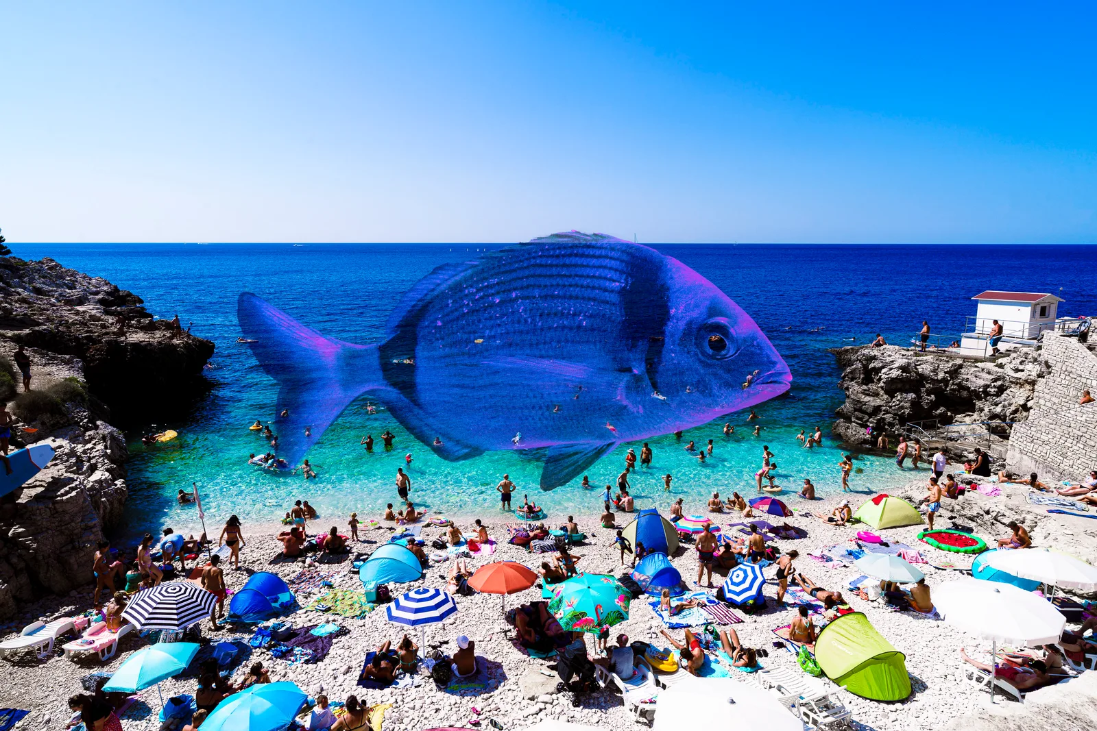 FISH ON THE BEACH