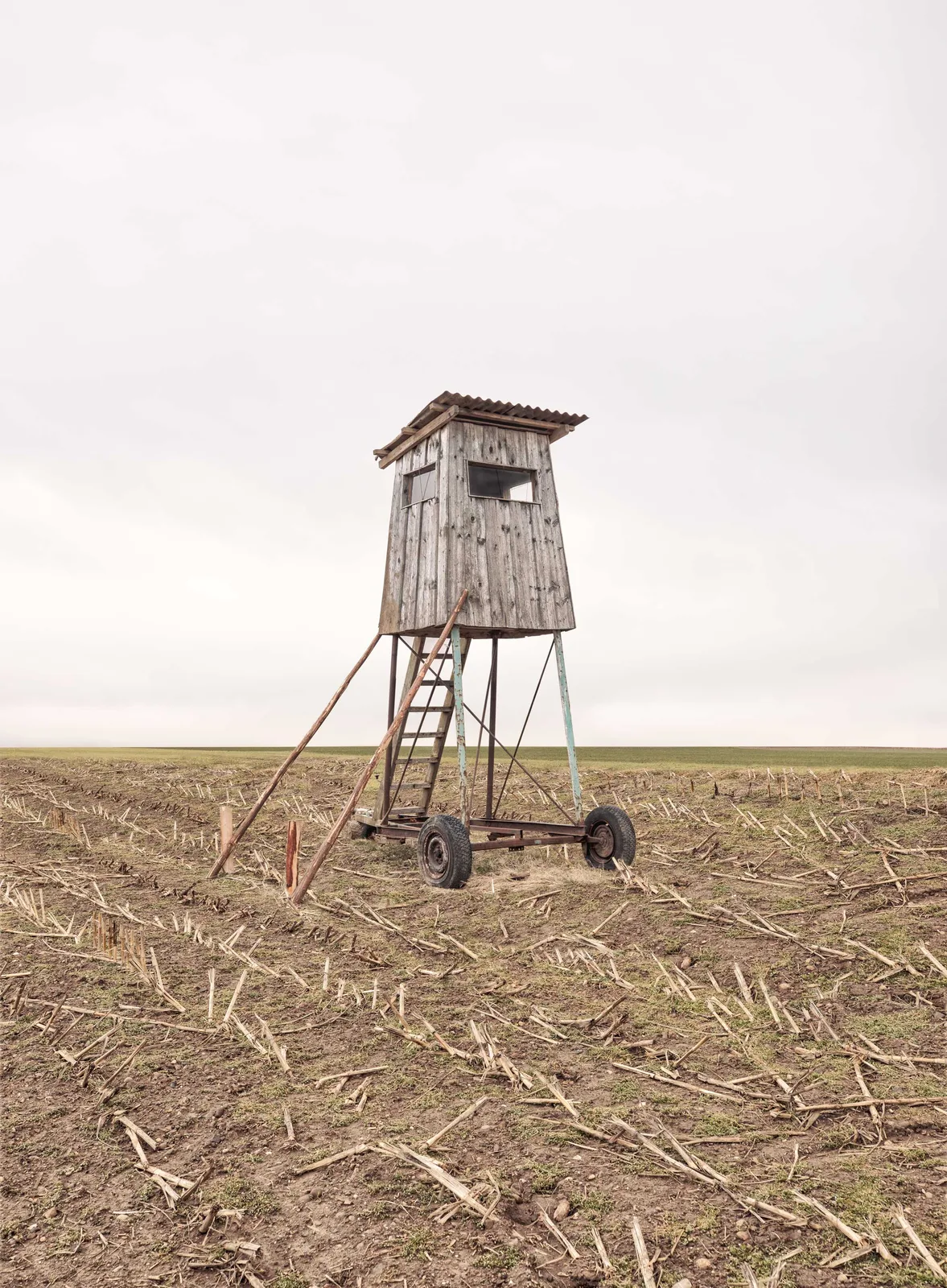 The Architecture of Hunting #6