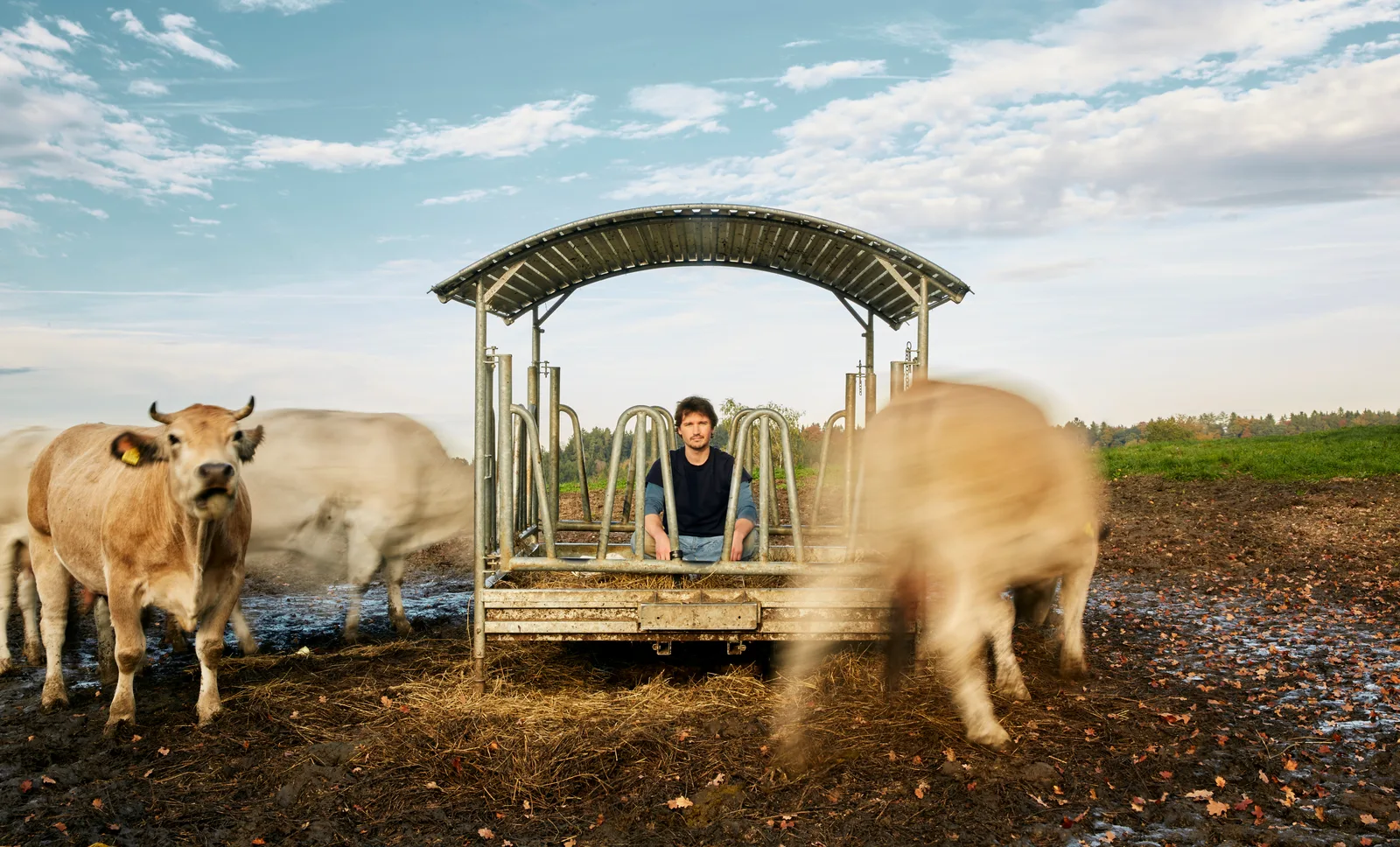 Dominik Gottwald