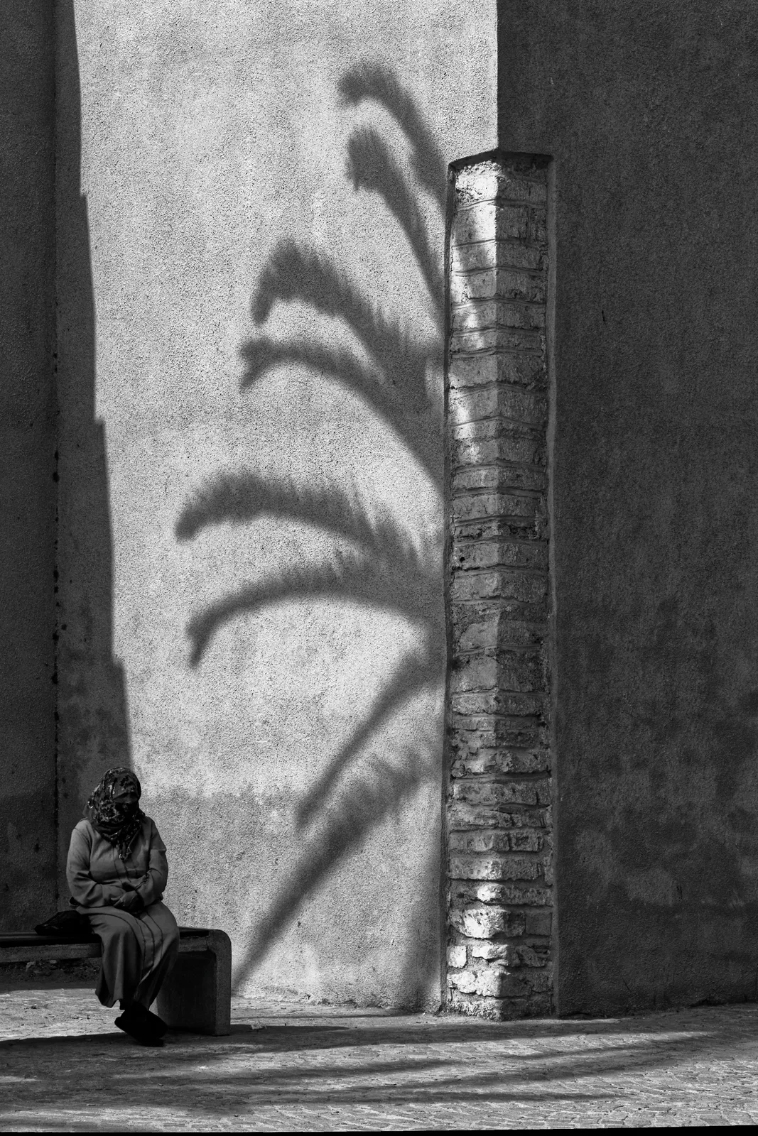 Unter Palmen - Essaouira
