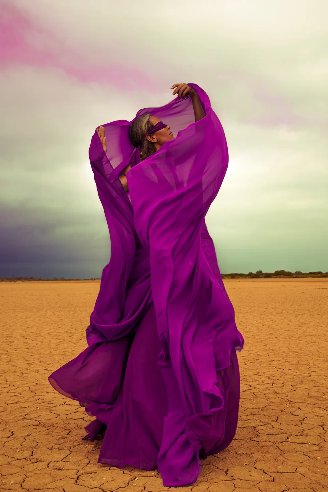 The Wind Dancer 1