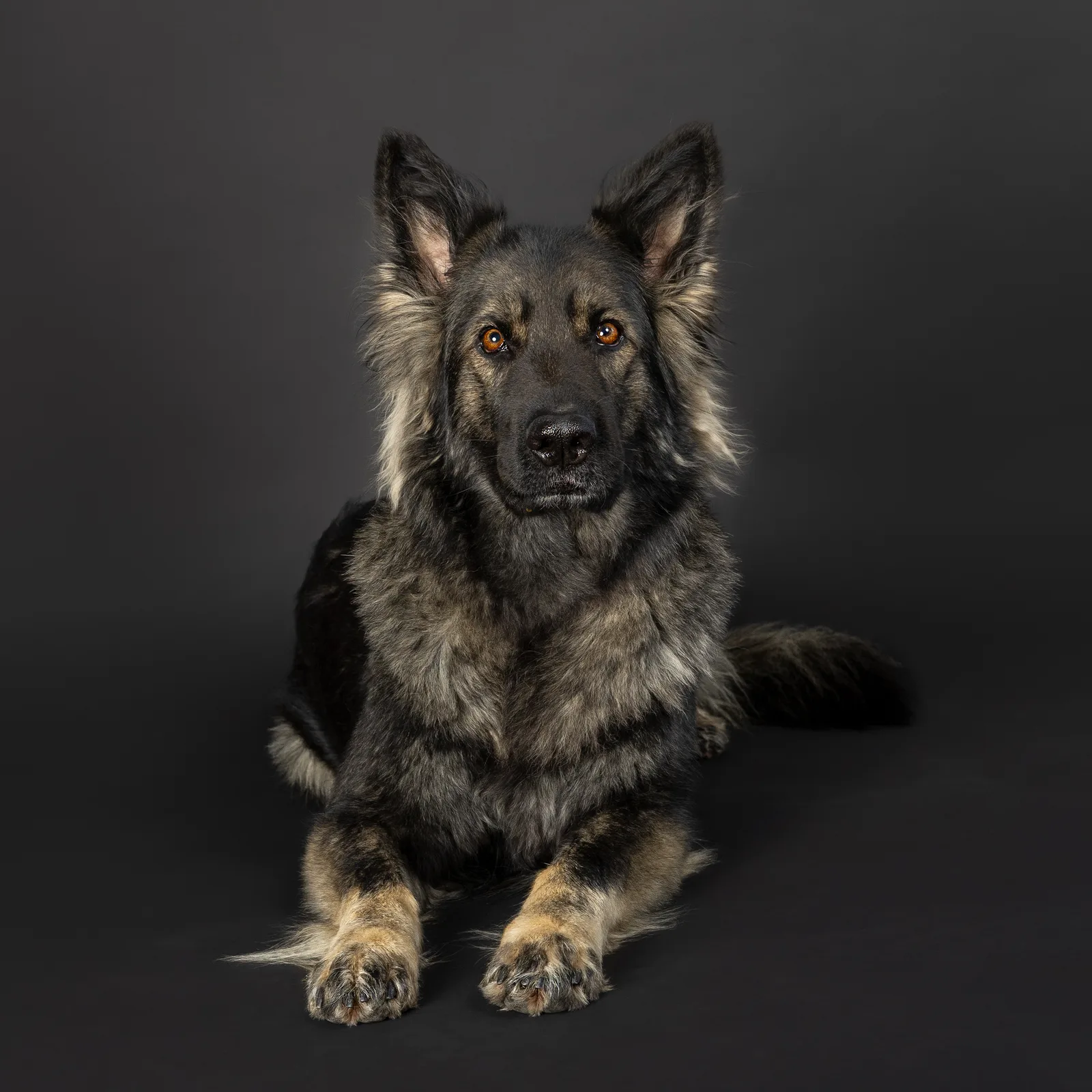 Xantara