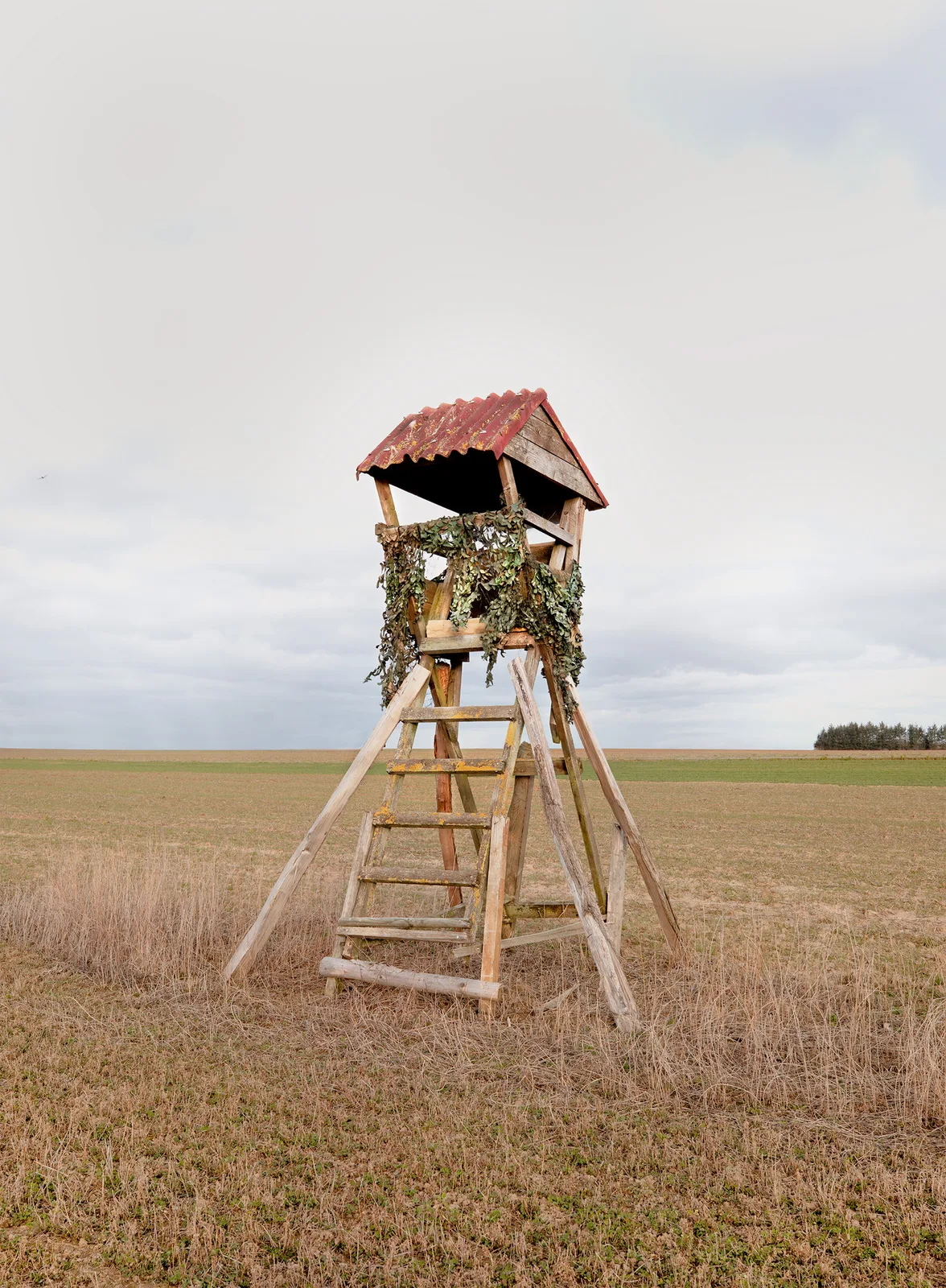 The Architecture of Hunting #11