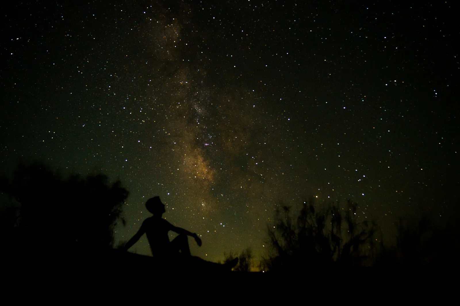 Under the Celestial Canopy