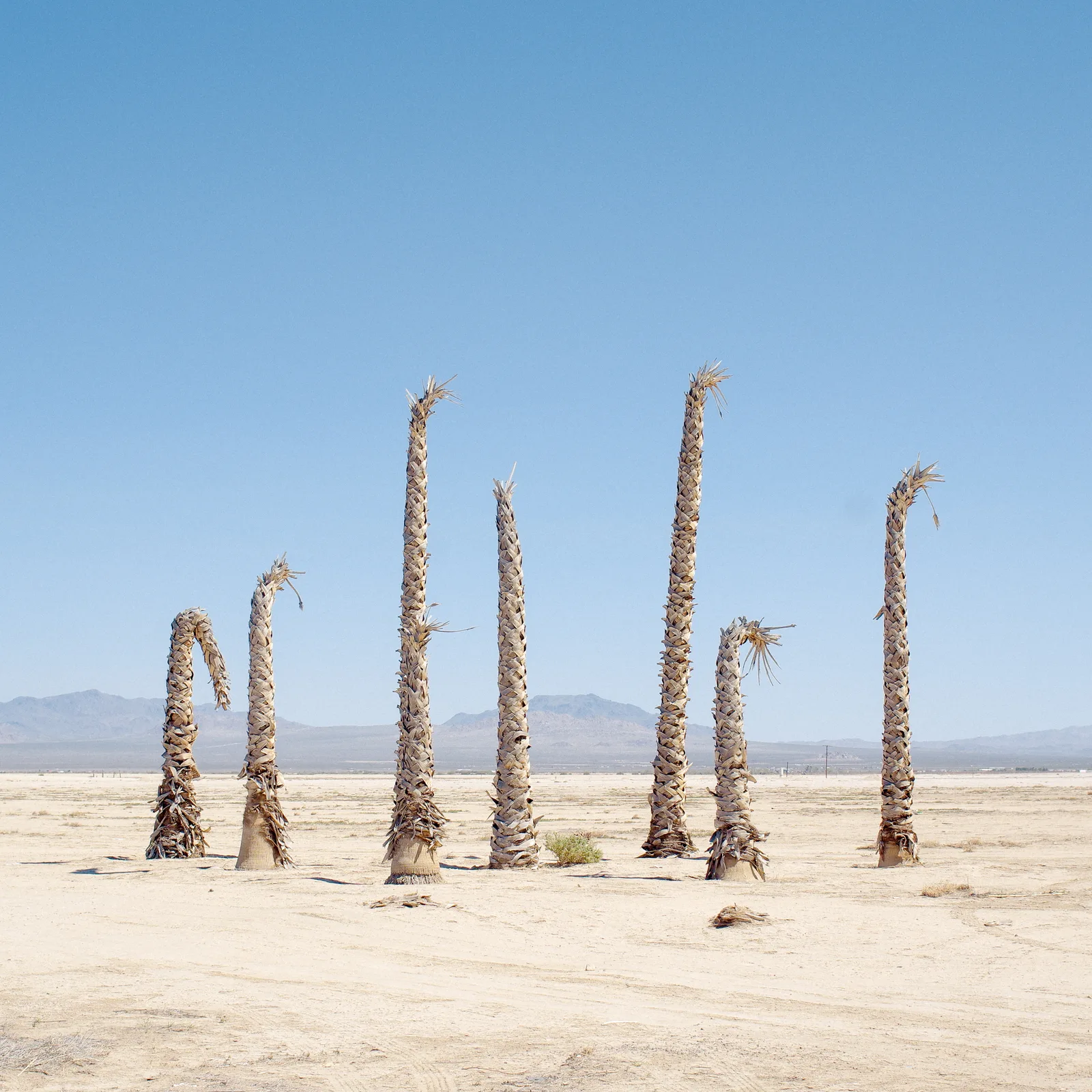 Seven, Lucerne Valley, California